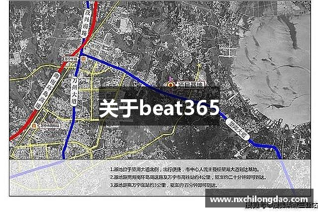 关于beat365